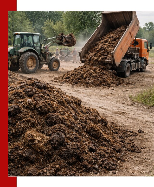 Доставка навоза самосвалами в Топках для сельхозпотребностей